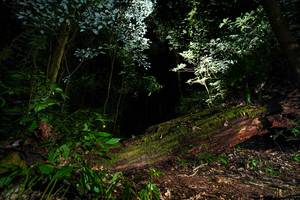 BIB: 
                            <button type="button" onclick="openModal(15974098)" class="btn btn-primary btn-sm float-right btn-popup" data-toggle="modal" data-target=".modal-high-quality">
                        <i class="fas fa-shopping-cart"></i> Add to Cart
                    </button>
                                            <button type="button" onclick="isThisMe(15974098, true)" class="btn btn-success btn-sm float-right btn-popup btn-isme hidden" data-toggle="tooltip" data-placement="bottom" title="นี่คือรูปของคุณใช่ไหม คลิกที่นี่เพื่อเอาเข้าอัลบั้ม">
                        <i class="fas fa-plus"></i> Add to album
                    </button>
                    <button type="button" onclick="isThisMe(15974098, false)" class="btn btn-warning btn-sm float-right btn-popup btn-isnotme hidden">
                        <i class="fas fa-ban"></i> Remove from album
                    </button>